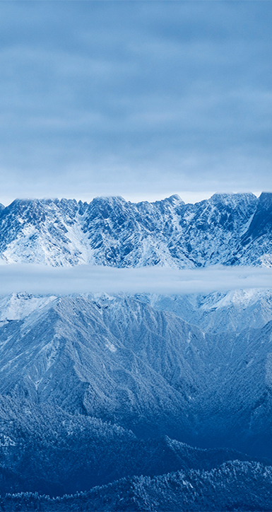 关于LETOU国际米兰